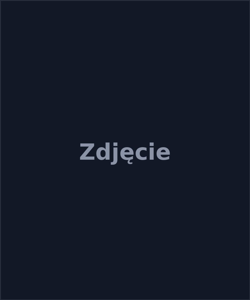 Analityk sportowy LuckyLadder